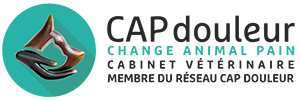 capdouleur-cabinet-membreRedim