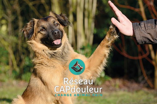 capdouleur2redim